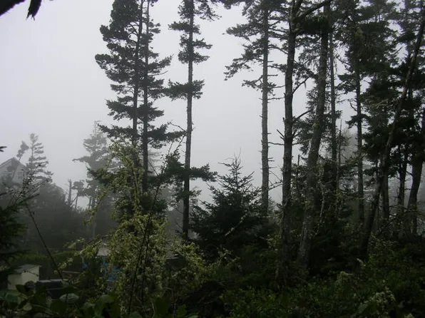 V/l Sea Bass Ln, Oceanside, OR 97134