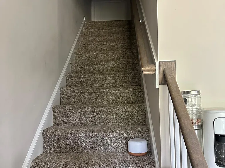 4509 Debnam Rd — Photo 14