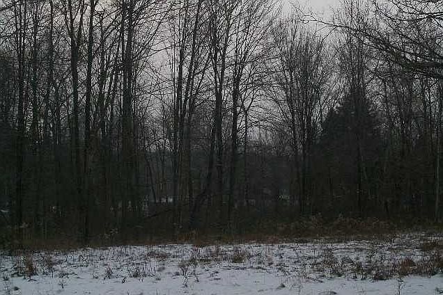 1st image of Morningside Dr