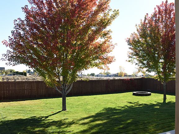 Very Private Backyard 