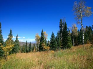 113 Pritchel Pl, Edwards, CO 81632