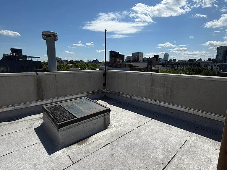 551 Lorimer St #PENTHOUSE — Photo 13