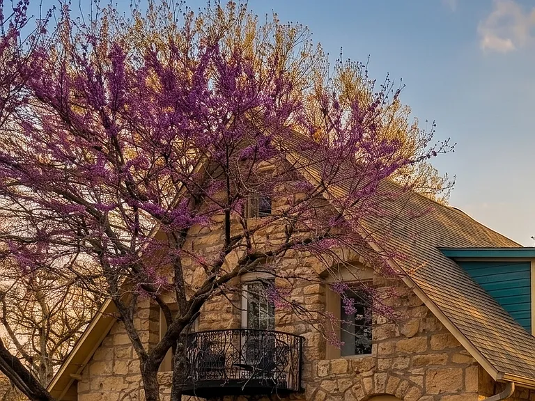 Historic 1920s limestone farmhouse featuring a custom ironwork patio right off the upper primary bedroom.
