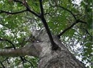 26515 Jules Ct, Spring, TX 77386