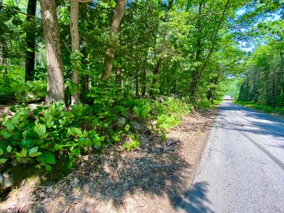 00 Maplecrest, Parsonsfield, ME, 04047