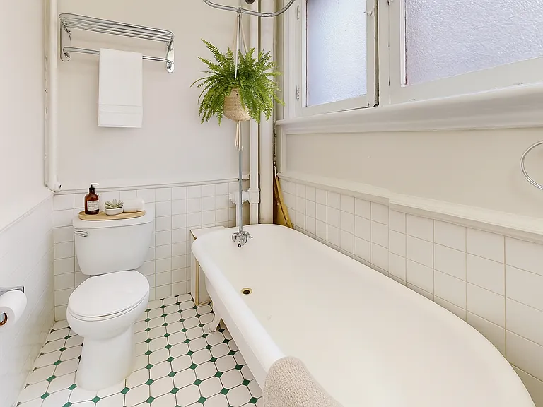 149 Maclaren St — Photo 5