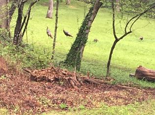 2904 Spring Branch Rd, Pittman Center, TN 37876