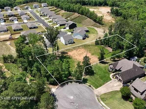 0 Tuliptree Ln, Northport, AL 35473