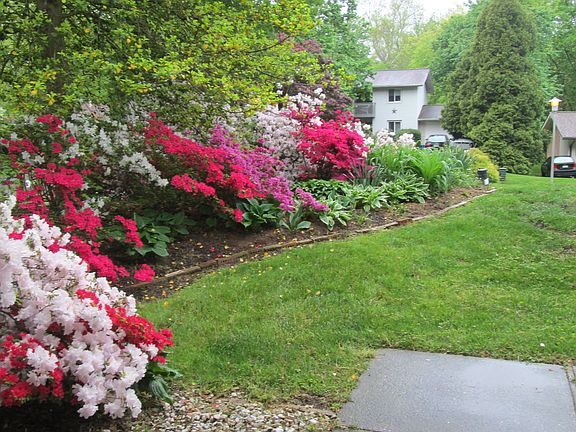 View of the front side gardens from the Foyer