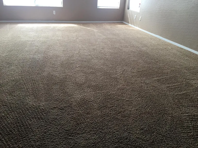 7776 N 56th Ln — Photo 63