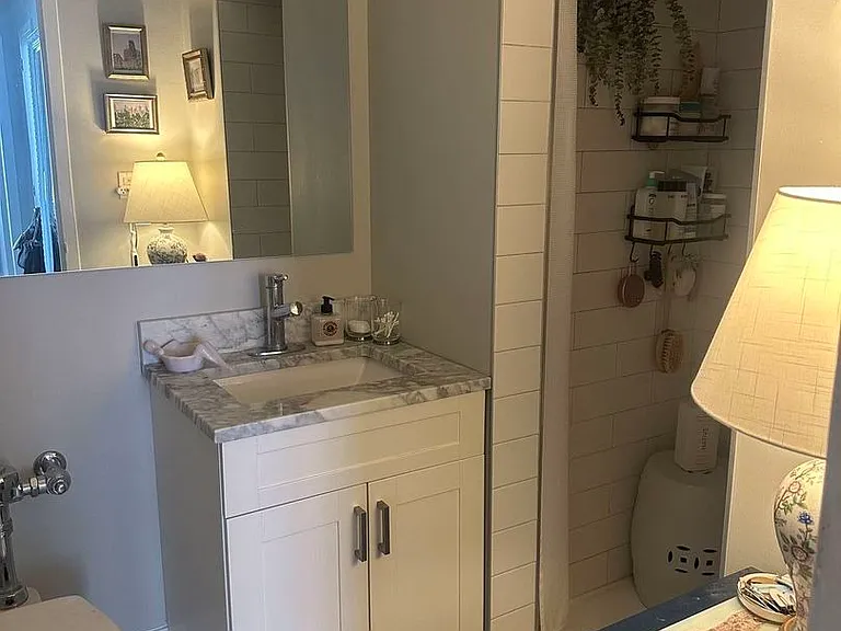 1000 N Lake Shore Dr #2301 — Photo 9