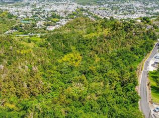 1 Calle Gorrito, Cayey, PR 00736