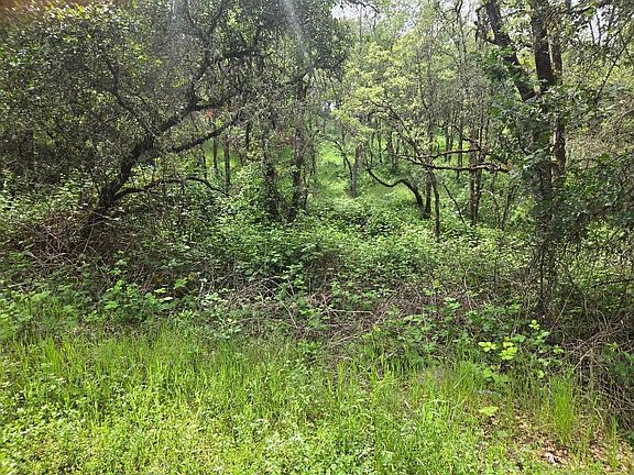4th image of 12729 Wolf Rd