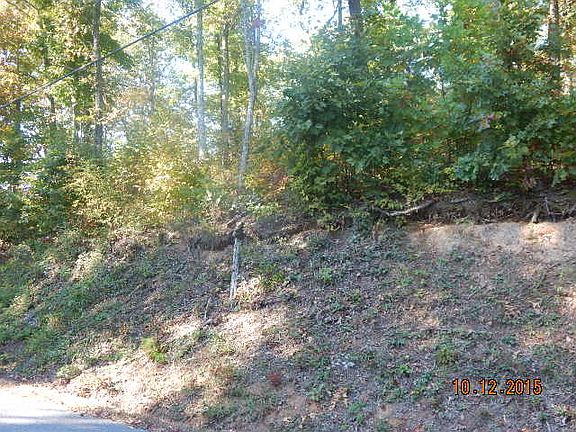 2nd image of Proffitt Ridge Road