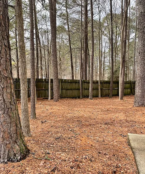 198 Forsythia Ct #A — Photo 25