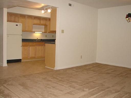 New Kitchen - maple cabinets