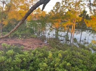 43820 Redlands Dr, Eustis, FL 32736