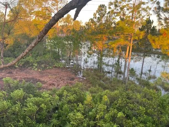 43820 Redlands Dr, Eustis, FL 32736