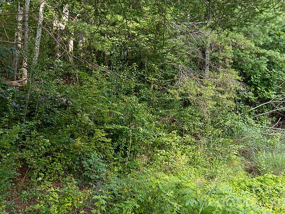 3rd image of 920 Mills Gap Rd