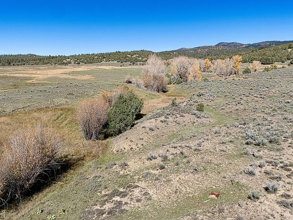 5th image of 16853 Us Highway 84