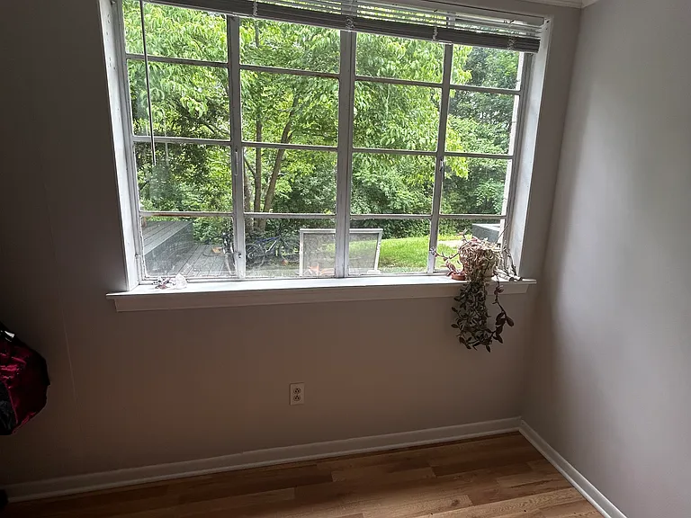 big window to backyard