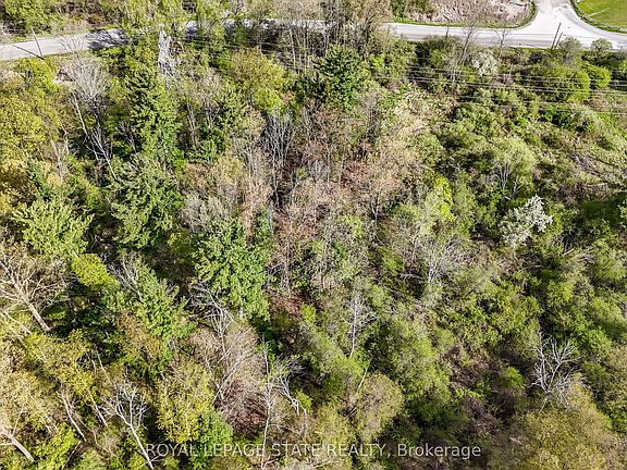5th image of 0 Mineral Springs Rd