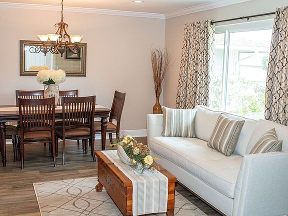 Living & Dining Room