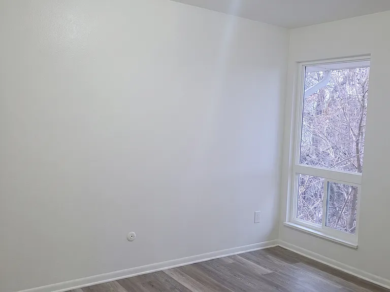 3000 Sumac St #3 — Photo 7