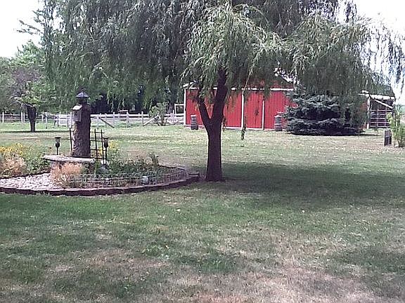 view from house to barn