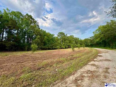 3.40 Freeman Loop Rd, Chesterfield, SC, 29709