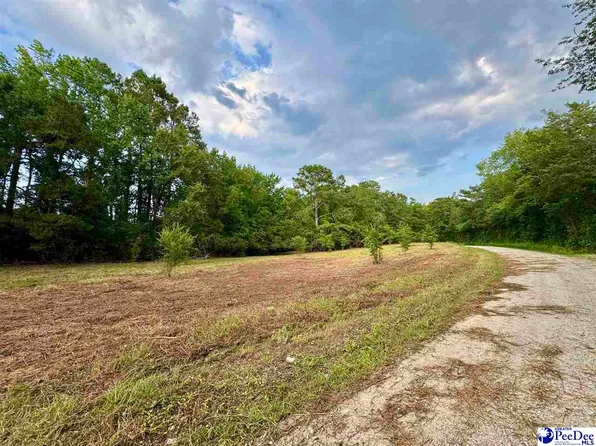 3.40 Freeman Loop Rd, Chesterfield, SC 29709