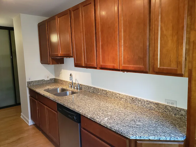 535 N Michigan Ave #1508 — Photo 11