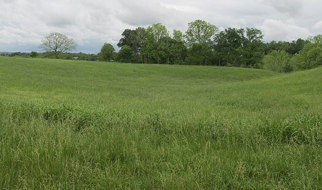 2nd image of 621 Blue Water Dr Lot 57