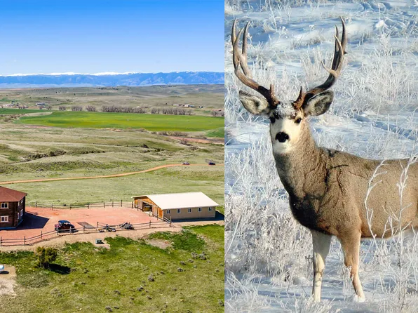 593 Lower Prairie Dog Rd, Sheridan, WY 82801