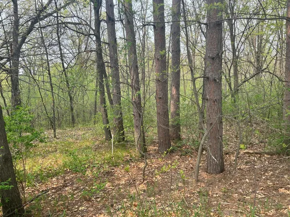 Birch Ln, Mora, MN 55051