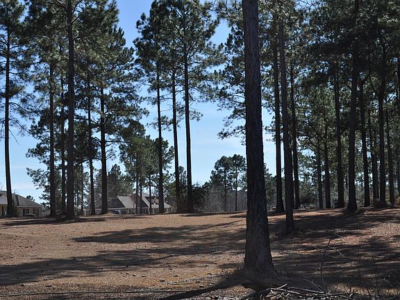 4th image of 0 Lynne Drive