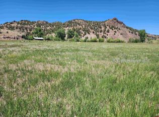 231 Caddis Cir, South Fork, CO 81154