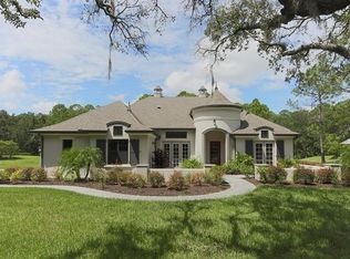 19510 Shady Hammock Ln, Odessa, FL 33556