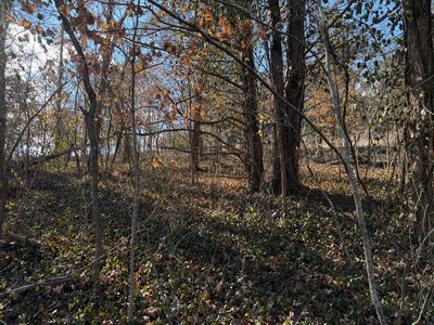 000 St. Cloud Drive, Cape Fair, MO, 65624