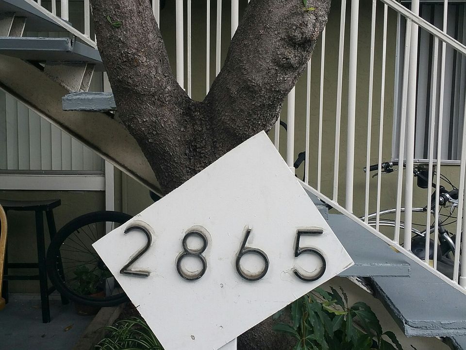 1st image of 2865 A St APT 15