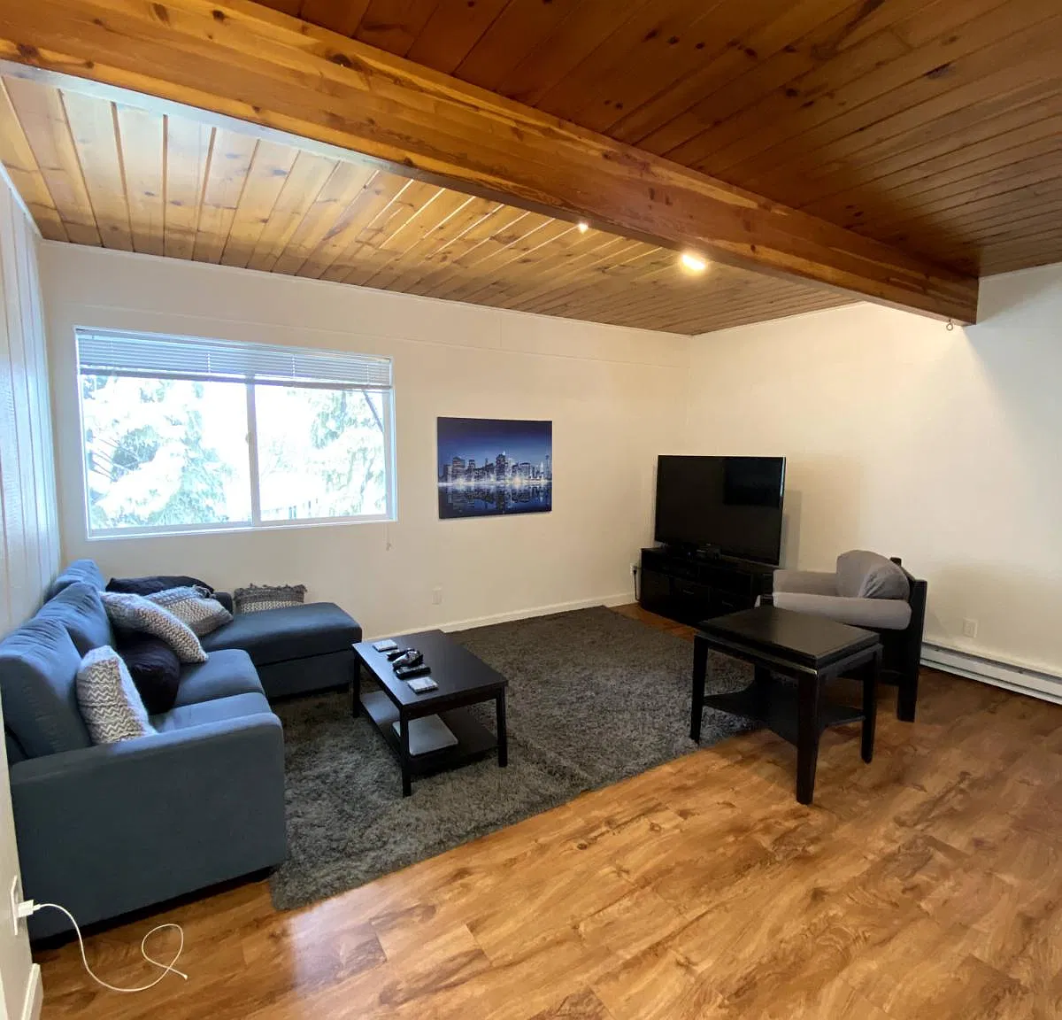 1 bed, 500 sqft, $1,050 — Photo 1