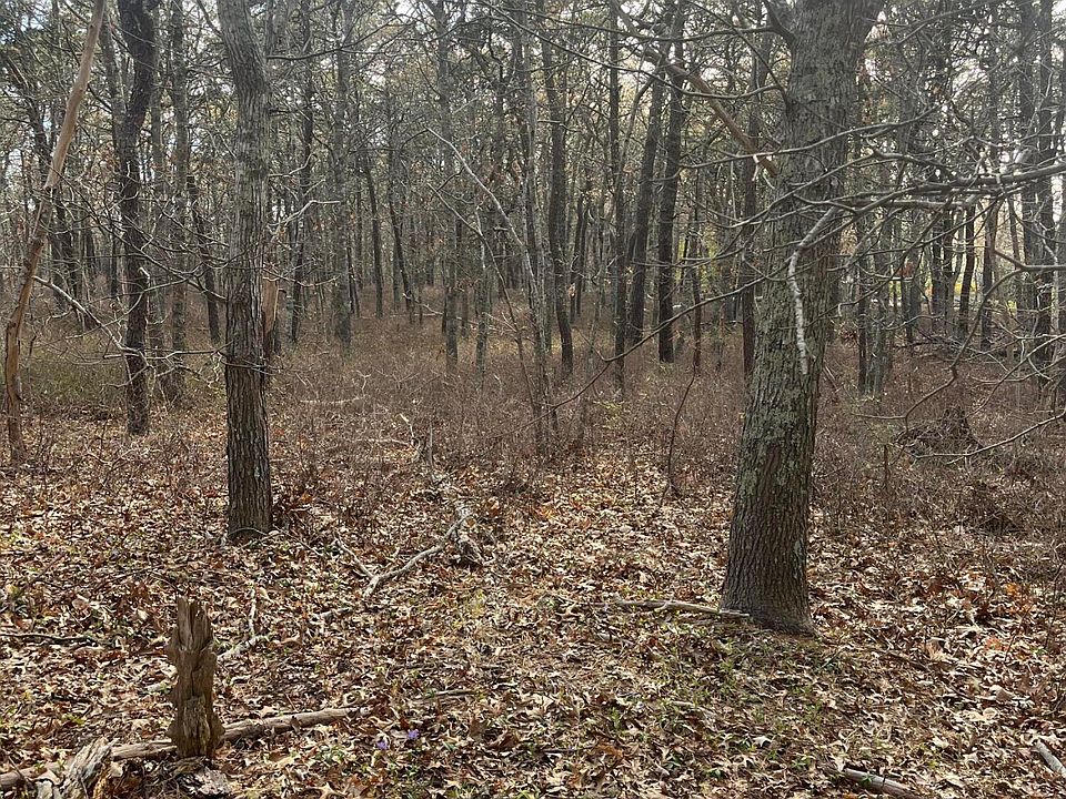 2nd image of 37 Cyprus Road