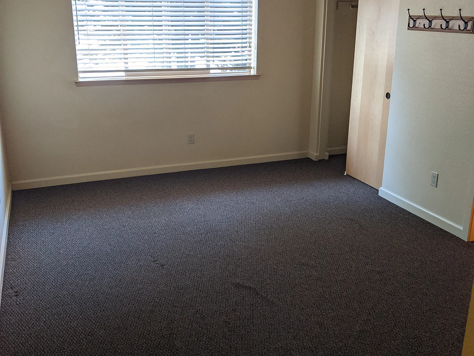 1 bed, $1,070 — Photo 2