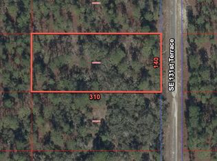11320 SE 131st Ter Lot 10, Dunnellon, FL 34431