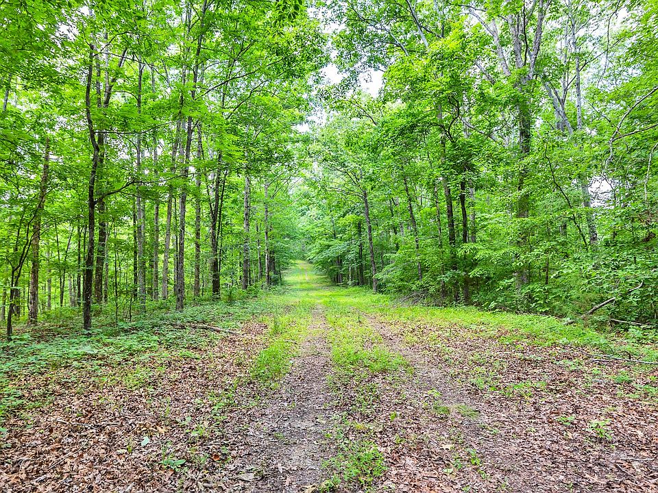 13th image of this home