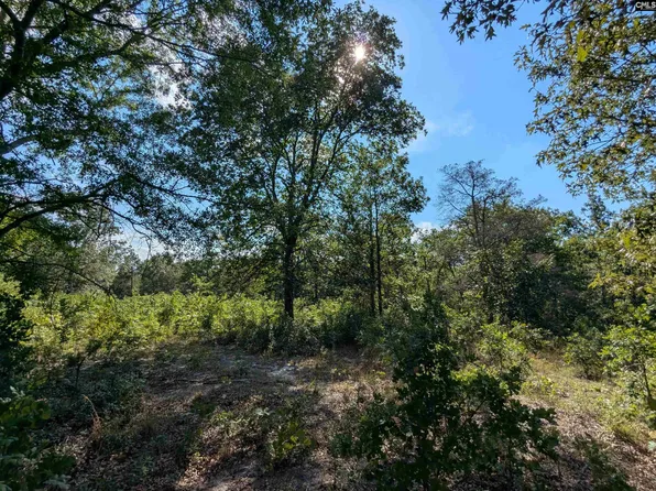 Hound Hollow Rd, Camden, SC 29020