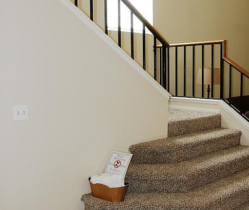 Lobo Entry stairs