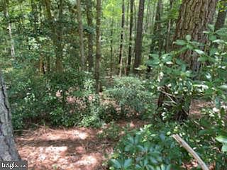 4th image of Hillcrest Ct