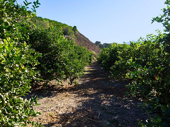 5th image of 915 E Telegraph Rd