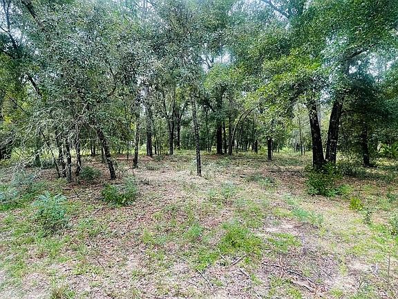 4th image of Lot 39 NE 102nd Ct